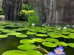 -广州莲花山旅游区