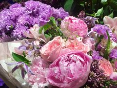 -BEAST野兽派(上海浦东嘉里城店)