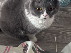 -张翻越·川渝冒菜·武汉黑鸭煲(城北万象城店)