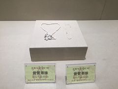 -迪庆藏族自治州博物馆