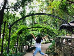 -美丽南方·老木棉匠园·团建烧烤·烤全羊