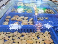 -松雅轩商务婚礼生日(同和店)