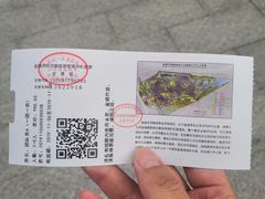 -盐城丹顶鹤湿地生态旅游区