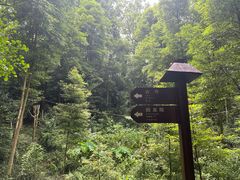 -凤栖山
