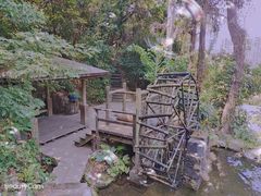 -青青世界