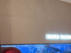 -老板恋上鱼(恒隆广场店)