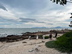 -碧桂园十里银滩