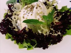 布拉塔芝士配烤茄子色拉和葡萄干-Atto Primo