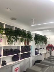 -小齐发型Star~salon