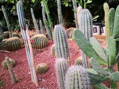 -呀路古热带植物园