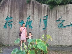 -荷塘月色湿地公园·向阳花洲