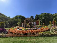 -上海共青森林公园