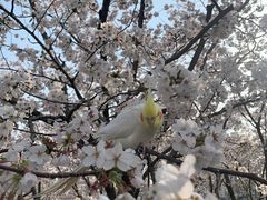 -龙美术馆(西岸馆)
