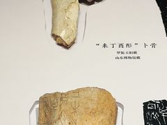 -山东博物馆
