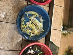 -真浪花园海鲜餐馆