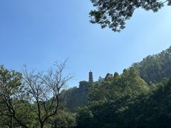 -南沙蒲洲花园