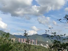 -深圳仙湖植物园