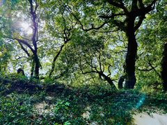 -宁波市保国寺古建筑博物馆