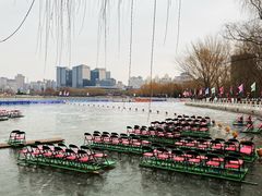 -莲花池公园