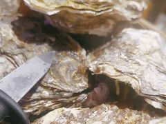 -蚝堡海鲜·威海菜·海肠捞饭·烧烤·亚洲吃蚝公司(幸福门店)