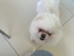 -怪兽屋·羊驼·猫咖·狗咖(俊华广场店)