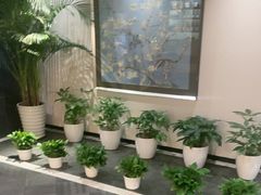 -黑松白鹿(金融街店)