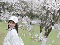 -南山植物园