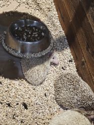 -酷嗒动物文化乐园(cutezoo西溪乐天城店)