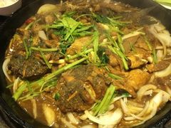 -老板恋上鱼(恒隆广场店)