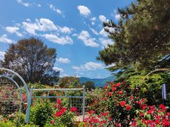 -国家植物园南园