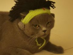 -中国农业大学·第四食堂风味餐厅