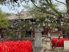 -红螺寺