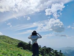 -秦岭风景区