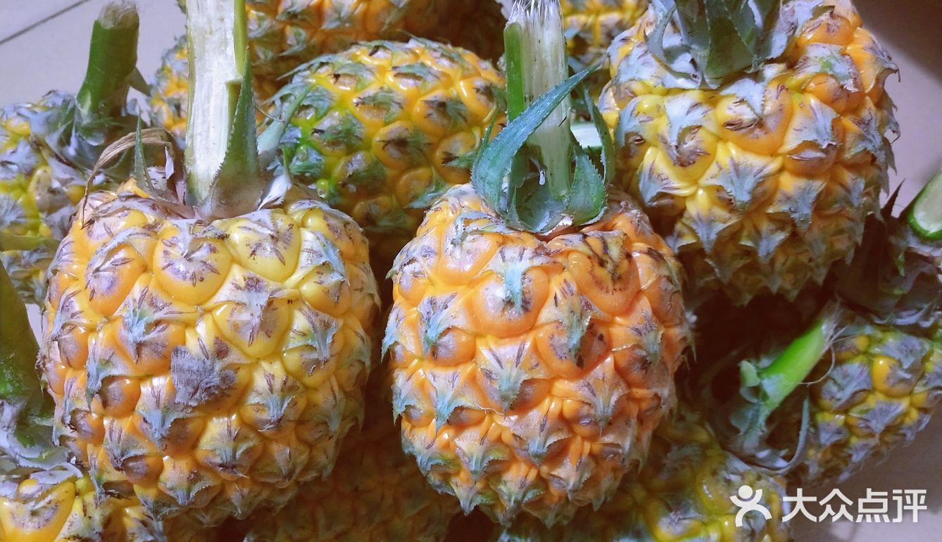 化州市杨梅菠萝东图片