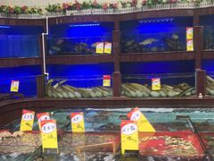 水产区-明香海鲜酒家(华强北店)