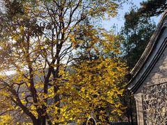 -妙峰山风景名胜区