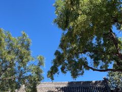 -白云观