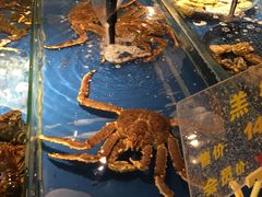 -万龙洲海鲜(南新仓店)