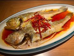 -波螺油子青岛本帮菜(银座店)