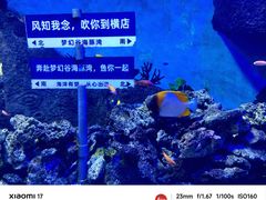 -横店影视城梦幻谷园区
