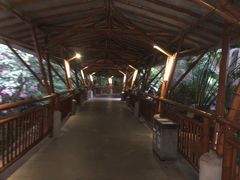 -海口观澜湖火山温泉谷