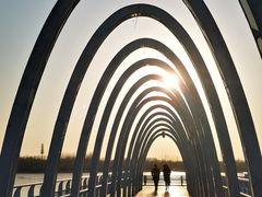 -大兴滨河森林公园