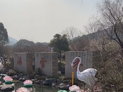 -香雪海