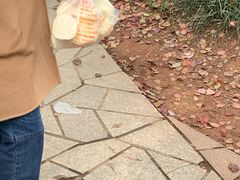 -食膳公园包子铺(烈士公园店)