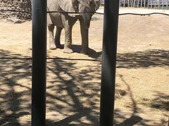 -新疆天山野生动物园