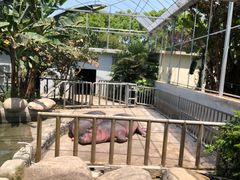 -宁波野生动物园