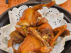 -鸽鸟轩(石岐店)