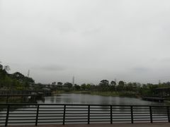 -王借岗森林公园