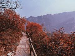 -周口店坡峰岭风景区