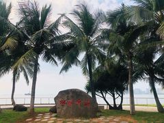 -万绿园
